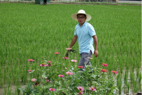 刘占宇在试验田