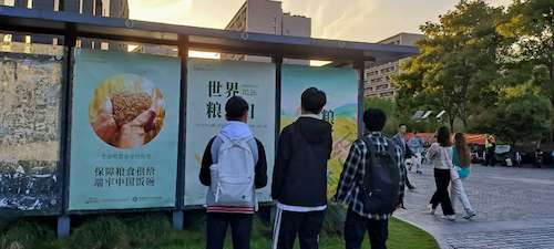 IMG_20221020_165506 IMG_20221020_165506