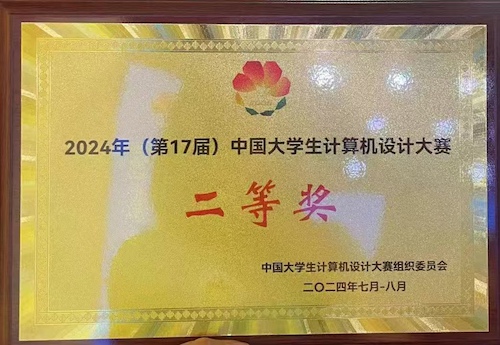 The Second Prize in National Level Competition