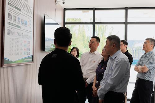 IMG_0982(1) IMG_0982(1)